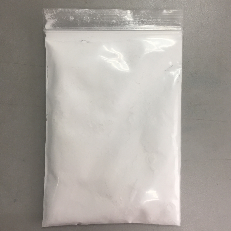 甜叶菊