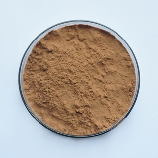 Rhodiola Rosea提取物